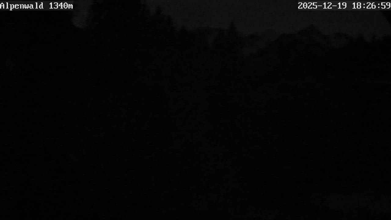 Bild: Gasthof Alpenwald